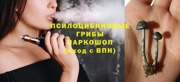 гидра Белоозёрский