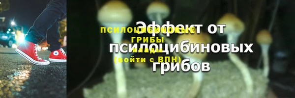 сатива Богородск