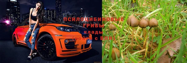 гидра Белоозёрский