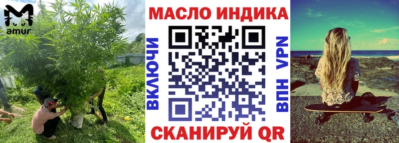Купить где  Оса  ТГК концентрат 