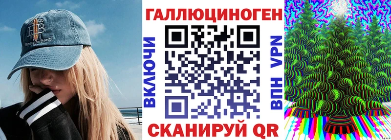 Купить  Оса  Галлюциногенные грибы мухоморы 
